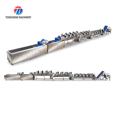 Year 2025 Silver Fruit And Vegetable Processing Line for Processing