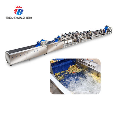 Year 2025 Silver Fruit And Vegetable Processing Line for Processing