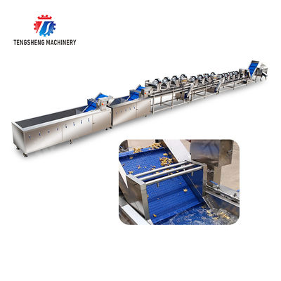 Year 2025 Silver Fruit And Vegetable Processing Line for Processing