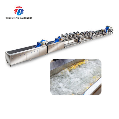 Year 2025 Silver Fruit And Vegetable Processing Line for Processing