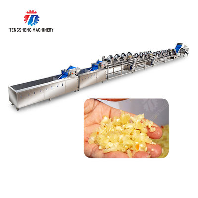 Year 2025 Silver Fruit And Vegetable Processing Line for Processing