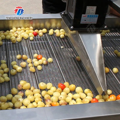 Orange Potato  Potatoes round tuber crops Carrots and longitudinal root vegetables Onions Cabbage varieties Fruiting veget Large-scale fruit and vegetable washing drying and cutting production line