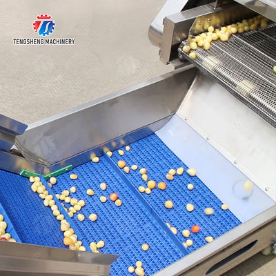 Year 2025 Silver Fruit And Vegetable Processing Line for Processing