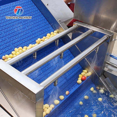 Year 2025 Silver Fruit And Vegetable Processing Line for Processing