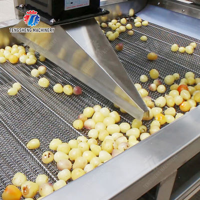 Year 2025 Silver Fruit And Vegetable Processing Line for Processing