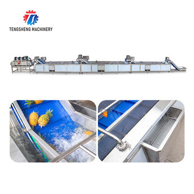 vegetable wash line pineapple juice processing line Pineapple bubble washing and vibrating air-drying line fruit processing machinery pineapple processing line