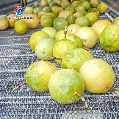 380V Fruit And Vegetable Processing Line Fully Automatic Cleaning Drying Grading