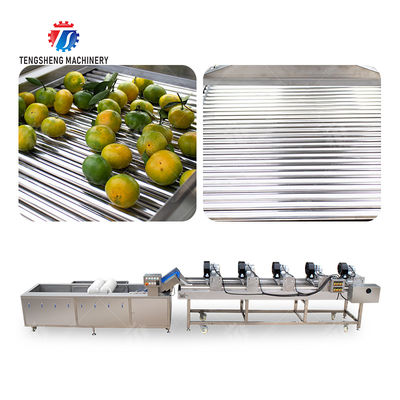 Fruits cleaning and drying production line Fruit Vegetable FOOD processing production Machine