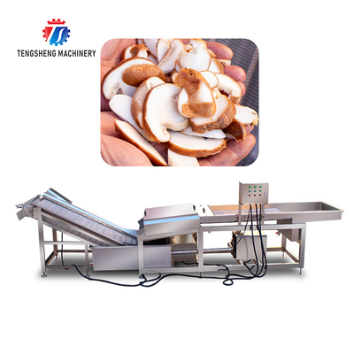 Mushroom slicer Wash Washer Washing Shiitake mushrooms Cleaning Dryer Cutting processing production Machine