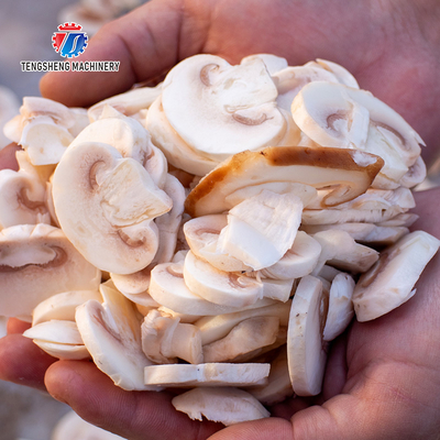 Mushroom slicer Wash Washer Washing Shiitake mushrooms Cleaning Dryer Cutting processing production Machine