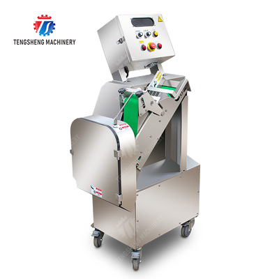 X Final Product The Preferred Option for Fruit And Vegetable Processing Line in 2025