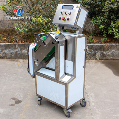X Final Product The Preferred Option for Fruit And Vegetable Processing Line in 2025