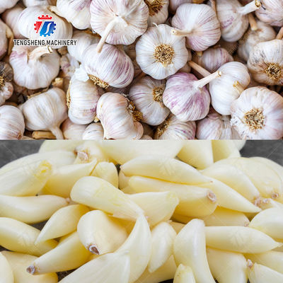 Garlic processing production Peeling Machine minced garlic production line