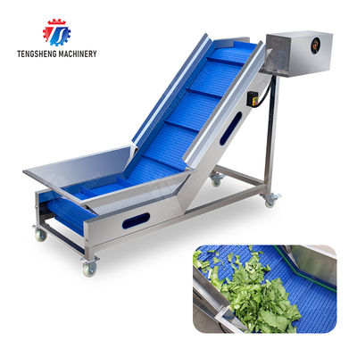 Washing Hoisting machine Fruit Orange Vegetable Apple pineapple Ginger Potato Carrot Sweet potato Yam cucumber chili onion okra Lettuce Cao Xin Baby Cabbage Chinese Cabbage processing production