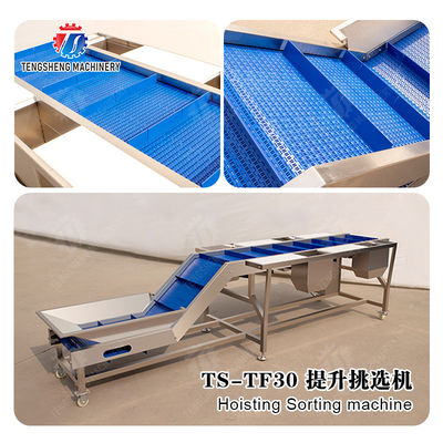 Hoisting Sorting machine Fruit Orange Vegetable Onions Saiko persimmon horseshoe Apple pineapple Ginger Potato Carrot radish onion okra Shiitake mushrooms Mushrooms Bamboo shoots corn chili kale