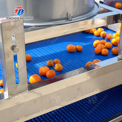 Multifunctional Fruit Sorting Machine Vegetable Washing Drying Production Line