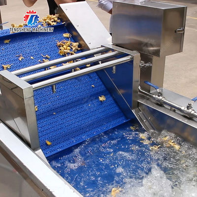 Year 2025 Silver Fruit And Vegetable Processing Line for Processing