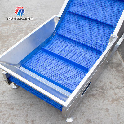 vegetable wash line pineapple juice processing line Pineapple bubble washing and vibrating air-drying line fruit processing machinery pineapple processing line