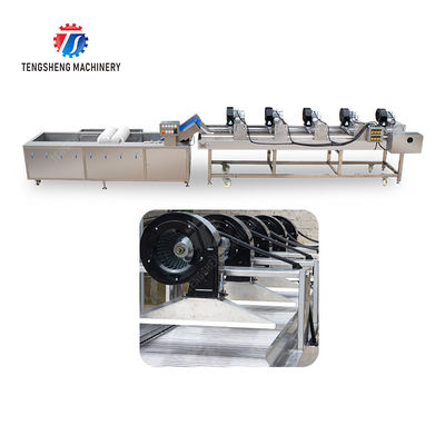 Fruits cleaning and drying production line Fruit Vegetable FOOD processing production Machine