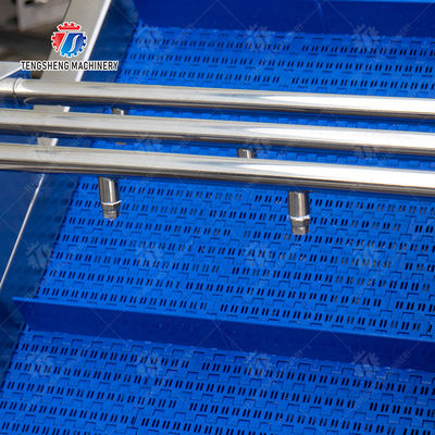 Tengsheng High Voltage Spraying Fruit And Vegetable Processing Line Industrial residual degradation