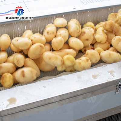 Potatoes and round tuber crops Ginger Potato Carrot Taro Sweet potato Yam Saiko persimmon papaya horseshoe macadamia nut Brush Washing and Peeling