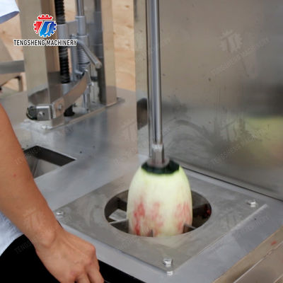 Fruit Vegetable Peeling and Splitting Machine papaya chieh-qua pumpkin wax gourd pineapple watermelon Hami Melon Peeling