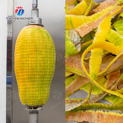papaya chieh-qua pumpkin wax gourd pineapple Vertical single knife peeling machine watermelon Hami Melon Peeling polishing