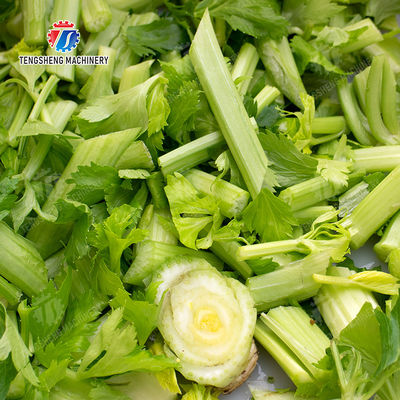 Single-head vegetable cutter waterproof type Vegetable Leaves Vegetables Potatoes and round tuber crops Carrots and longitudinal root vegetables Cabbage varieties Potato Carrot onion Greens