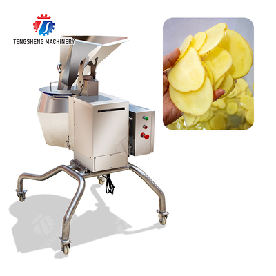 2025 Fruit And Vegetable Processing Machine For X Final Product And Streamlined Production