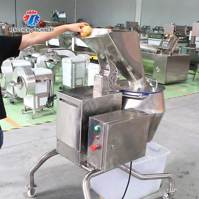 2025 Fruit And Vegetable Processing Machine For X Final Product And Streamlined Production