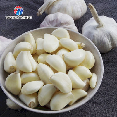 Garlic Peeling Machine garlic Destoning Peeling & polishing processing production