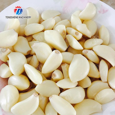 Garlic Peeling processing production Machine minced garlic processing production
