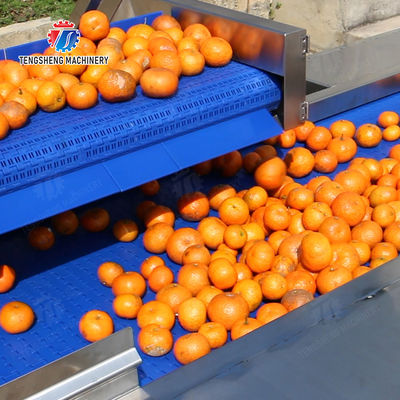 Washing Hoisting machine Fruit Orange Vegetable Apple pineapple Ginger Potato Carrot Sweet potato Yam cucumber chili onion okra Lettuce Cao Xin Baby Cabbage Chinese Cabbage processing production