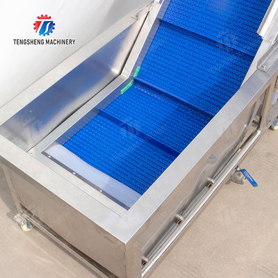 Passion Fruit Kiwi Fruit Mango Strawberry lemon ginger kale Celery apple Tomato orange Baby Cabbage Chinese Cabbage Cabbage corn chili Washer Washing Dryer  Pre-foaming elevator