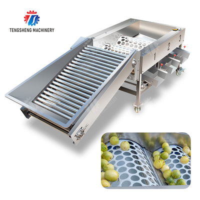 Máquina clasificadora de fruta y verdura de manzana, maracuyá y verdura, mandarina, maracuyá, aguacate, cereza, mango, pera, plátano, mangostán, kiwi, fruta, naranja, verdura, lechuga, col, apio, col rizada, Clasificación