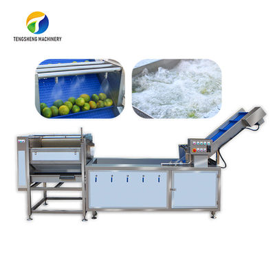 El tallo de la fruta cítrica eliminó el limón que procesaba el cepillo industrial de la burbuja de aire de la maquinaria