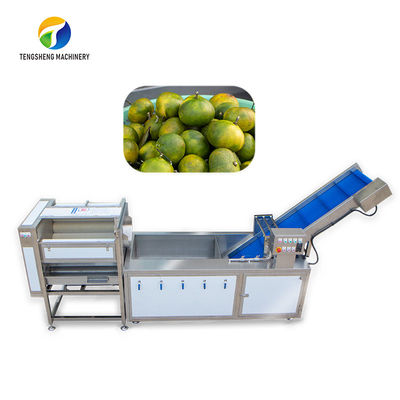 El polvo friega la cadena de producción de la fruta de Sortment limpieza vegetal de la piña de la burbuja que controla