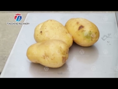 Industrial Garlic Vegetable Processing Machine 0.375KW Automatic