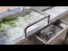 340KG Multifunctional Vegetable Washing Machine Continuous Type
