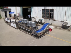 Lleve su línea de procesamiento de frutas y verduras al siguiente nivel con la máquina de cepillado paralelo TS-M100